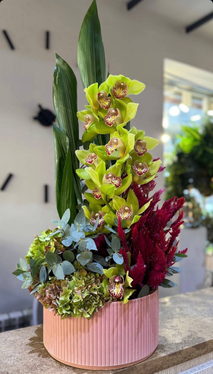 Орхидея - Image 1 of 1 | Avenue Des Fleurs